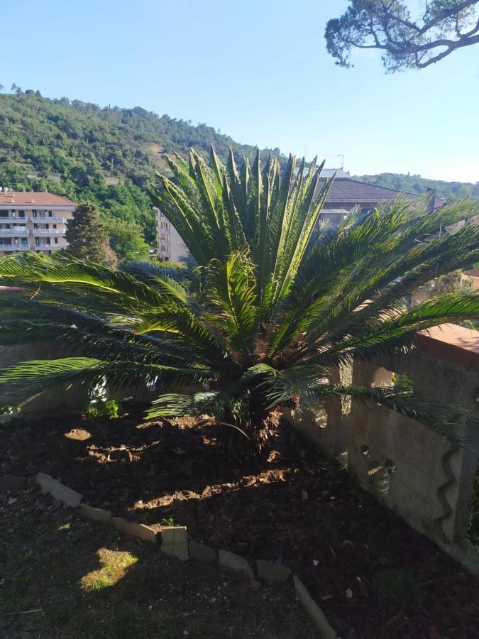Bed & Breakfast Lujocanda Casarza Ligure Eksteriør billede